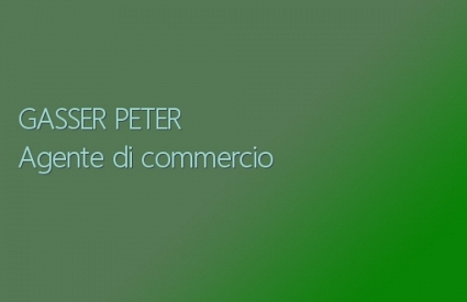 GASSER PETER