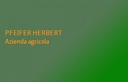 PFEIFER HERBERT