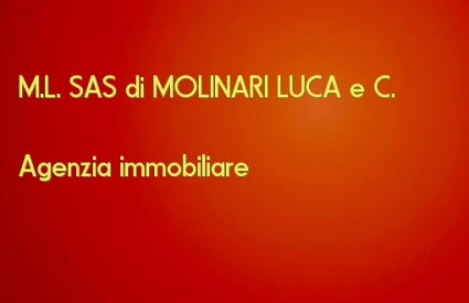M.L. SAS di MOLINARI LUCA e C.