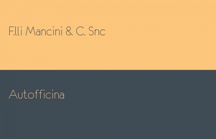 F.lli Mancini & C. Snc